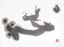 �w�S�x(����11�N����)